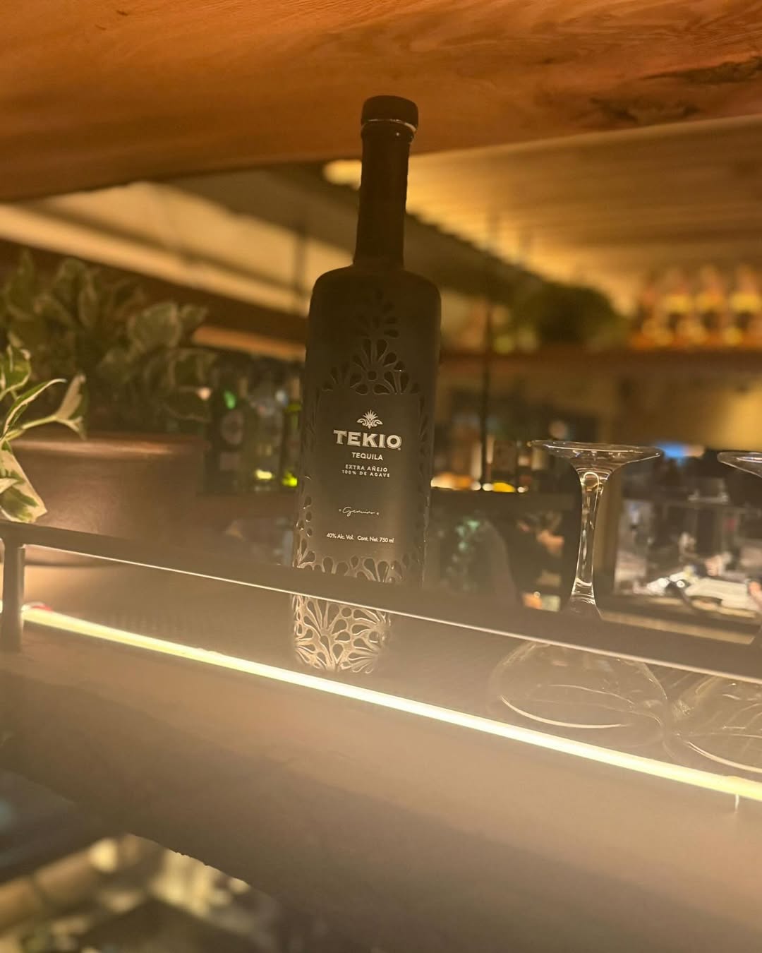 Tequila Tekio Extra Añejo | טקילה טקיו אקסטרא אנייחו
